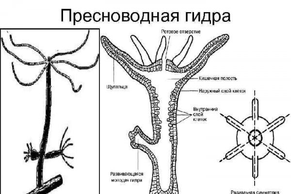 Кракен сайт даркнет vk2 top