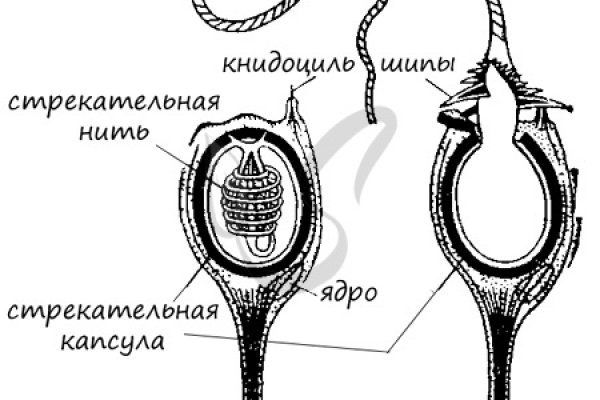 Адрес омг онион