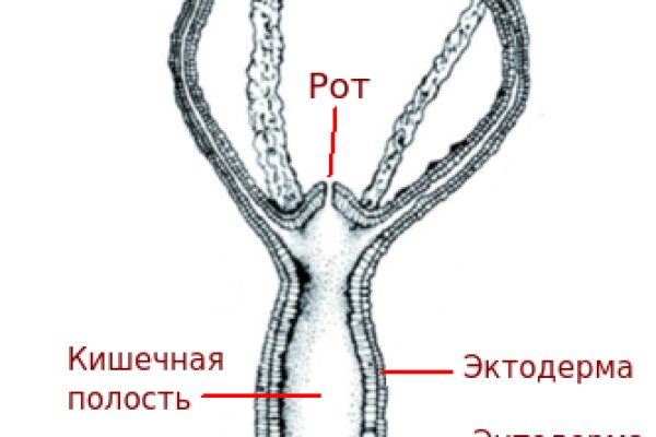 Мега работает